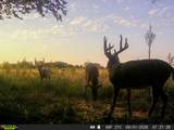 0000 Tumbleweed Rd - Photo 30