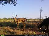 0000 Tumbleweed Rd - Photo 31