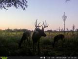 0000 Tumbleweed Rd - Photo 32