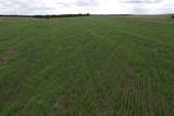 0000 Daisy Road - Photo 3