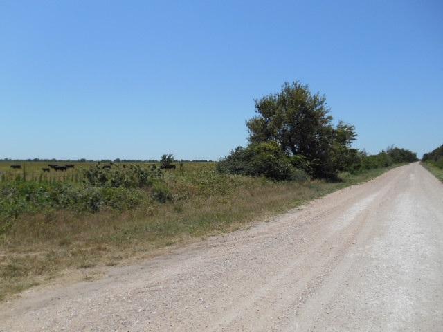00 125TH ST NORTH - Photo 1
