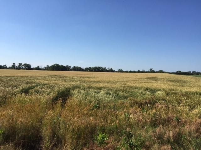 00000 150 RD - Photo 1