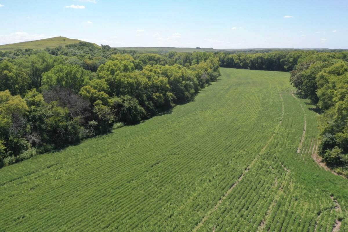 857 Camp Wood Rd - Photo 1