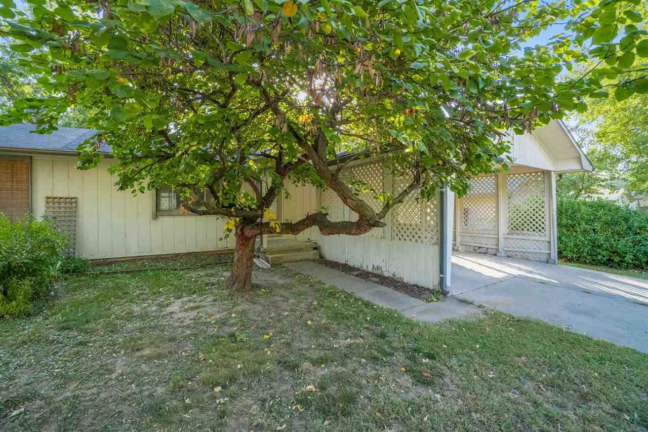 1302 Mount Carmel - Photo 1