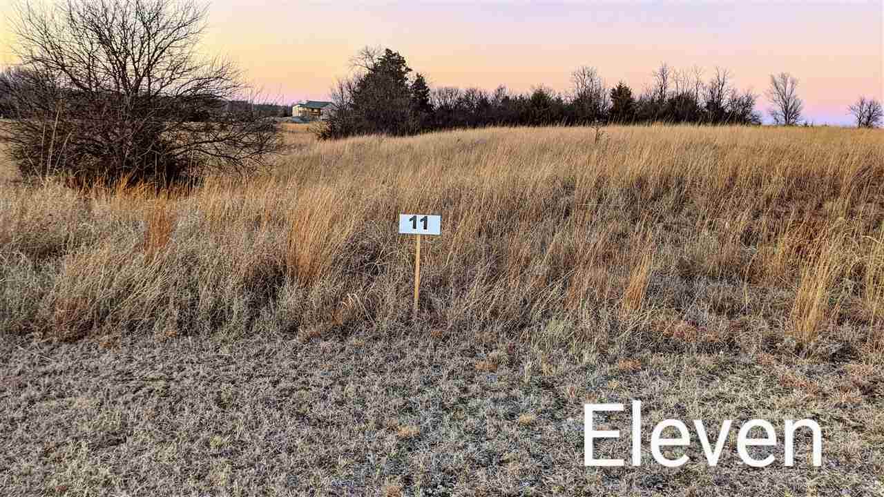 0000 Deer Trail Cir - Photo 1