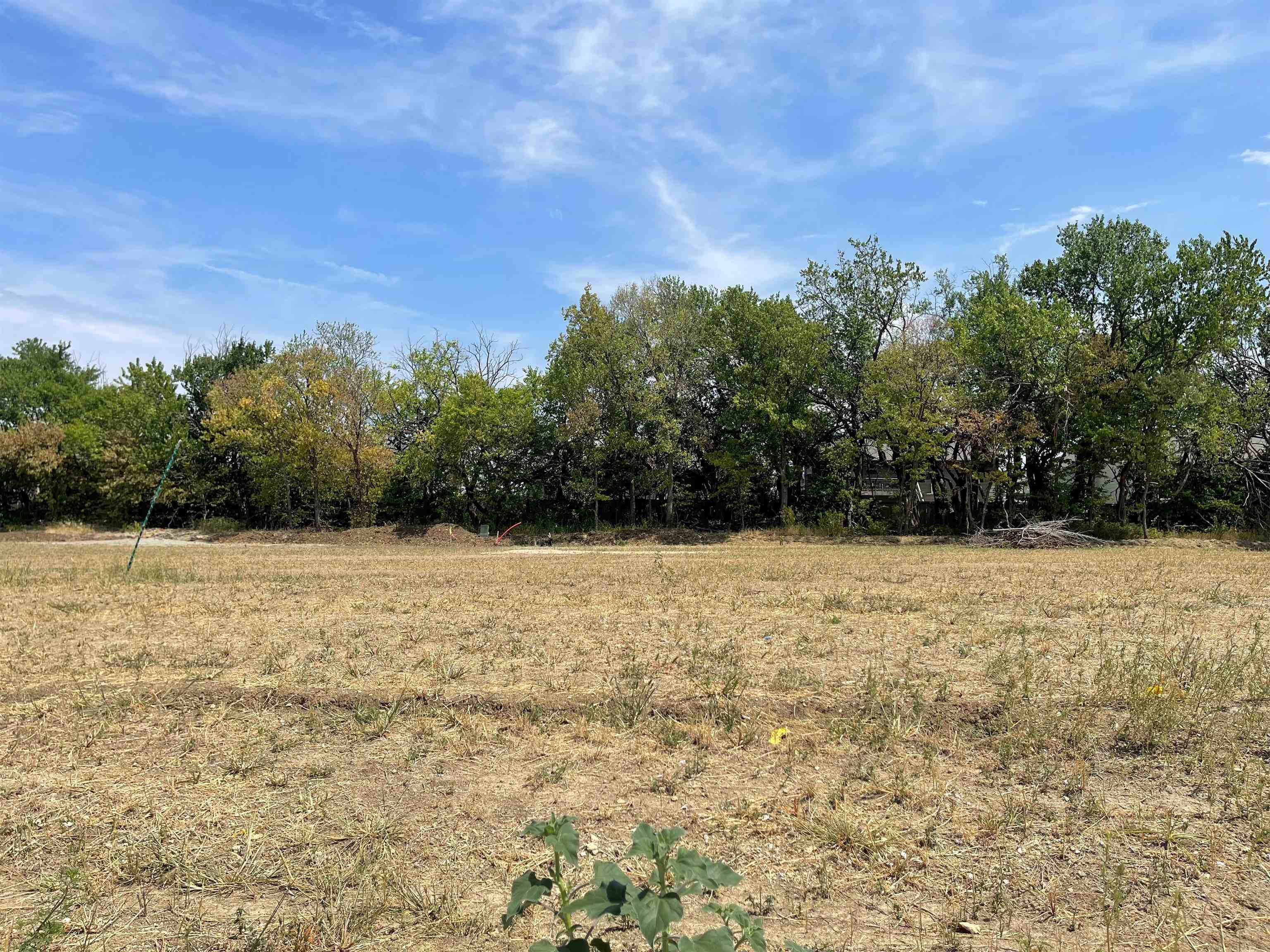 2518 Emerald Ct - Photo 1