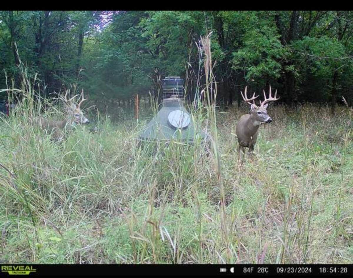 https://bt-photos.global.ssl.fastly.net/wichita/orig_boomver_1_678466-1.jpg