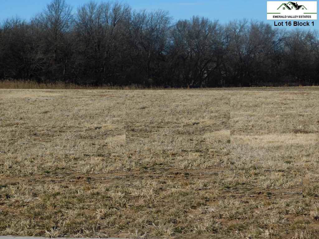 1431 Emerald Valley Dr - Photo 1
