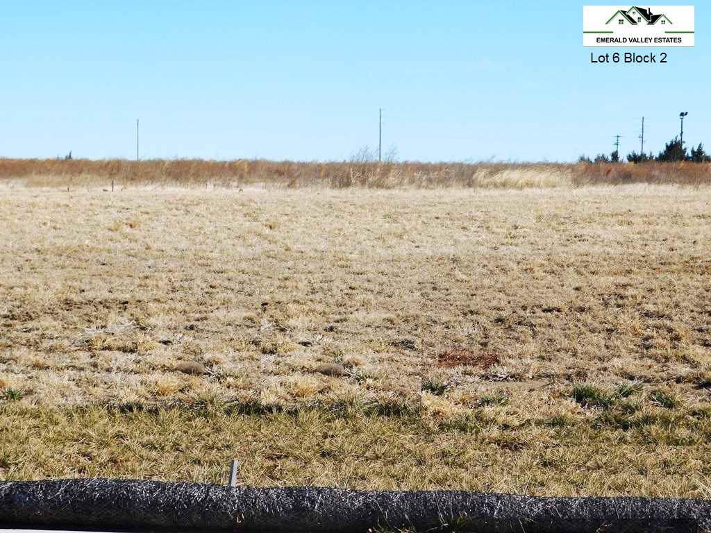 1426 Emerald Valley Dr - Photo 1