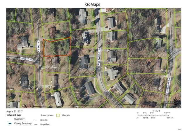 0000 Cedar Lane - Photo 1