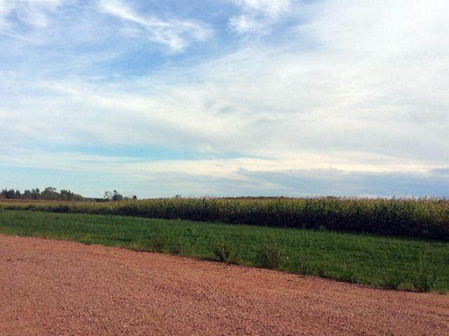 #1 Draxler Drive - Photo 1