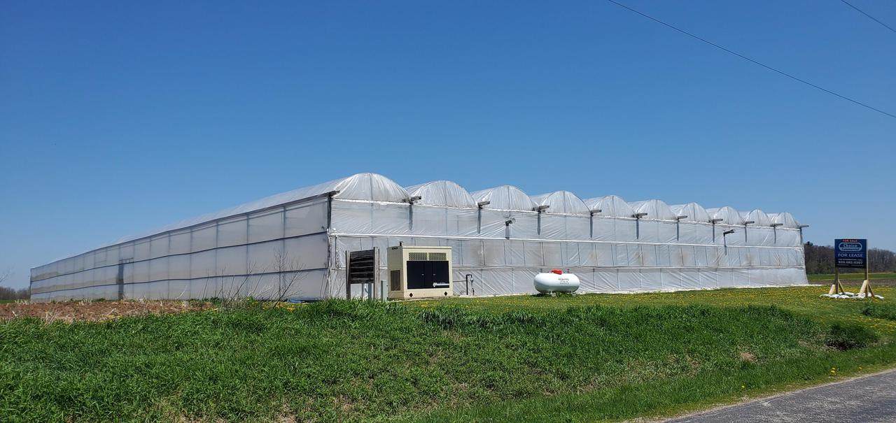 13004 Washington Rd - Photo 1