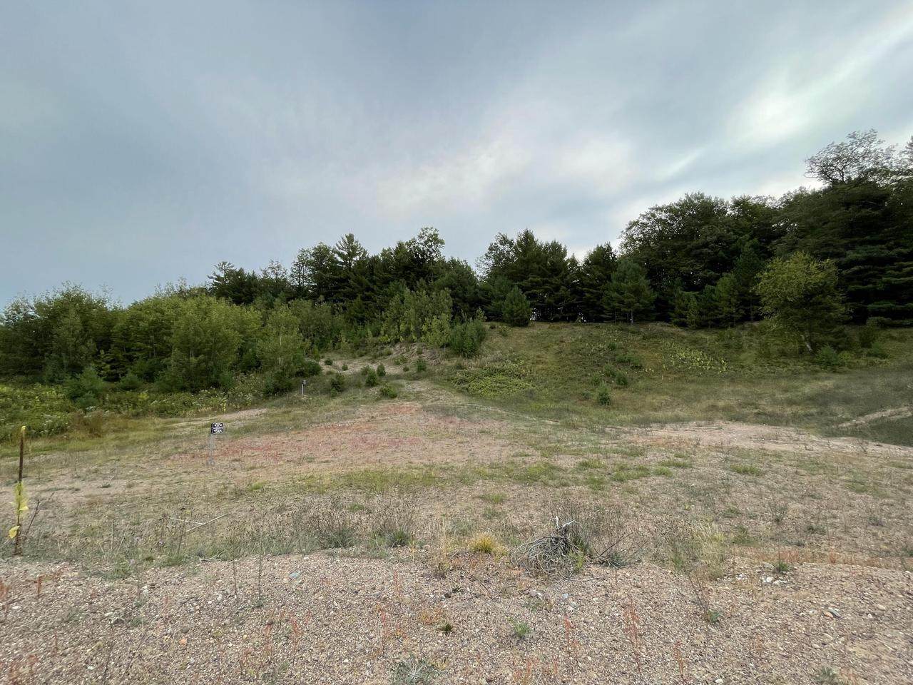 9565 Cliff Trl - Photo 1