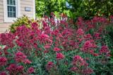 220 Church Street - Photo 16