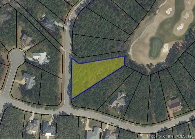 5025 Brandon Pines Way - Photo 1