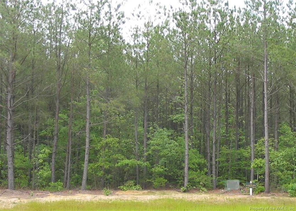 Lot 47 Plantation Place - Photo 1