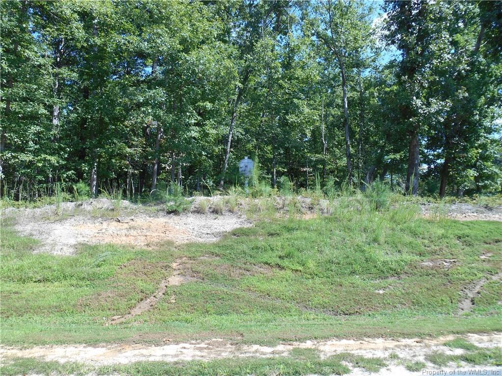 LOT 48 Beacon Ridge - Photo 1
