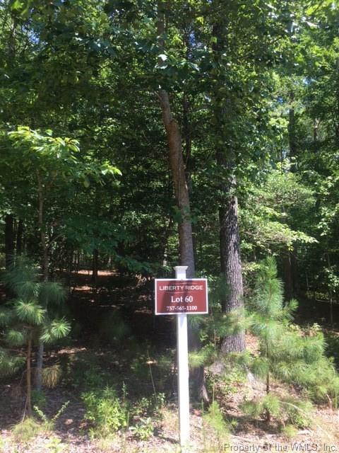 LOT 60 - Photo 1