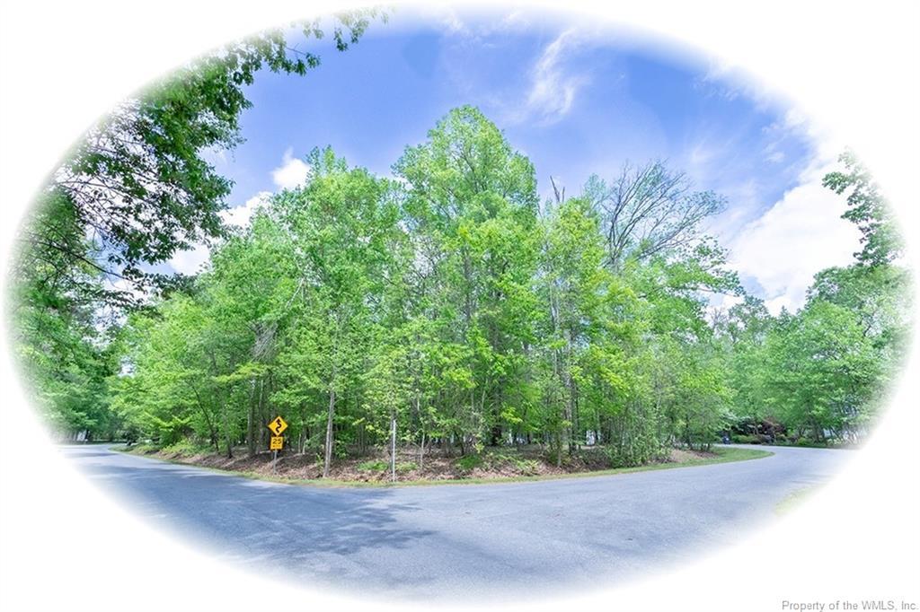 15502 Fort James Court - Photo 1
