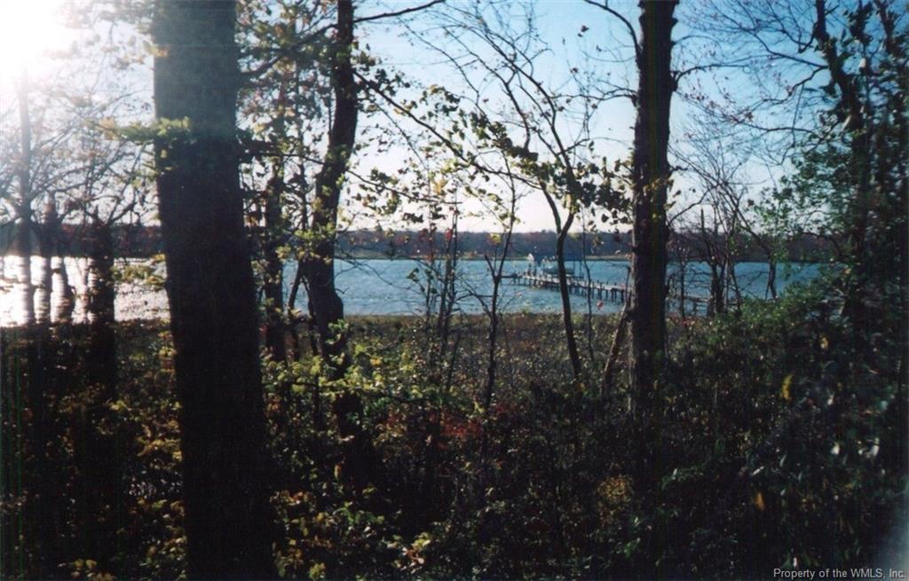 TBD River Bluff Lane - Photo 1