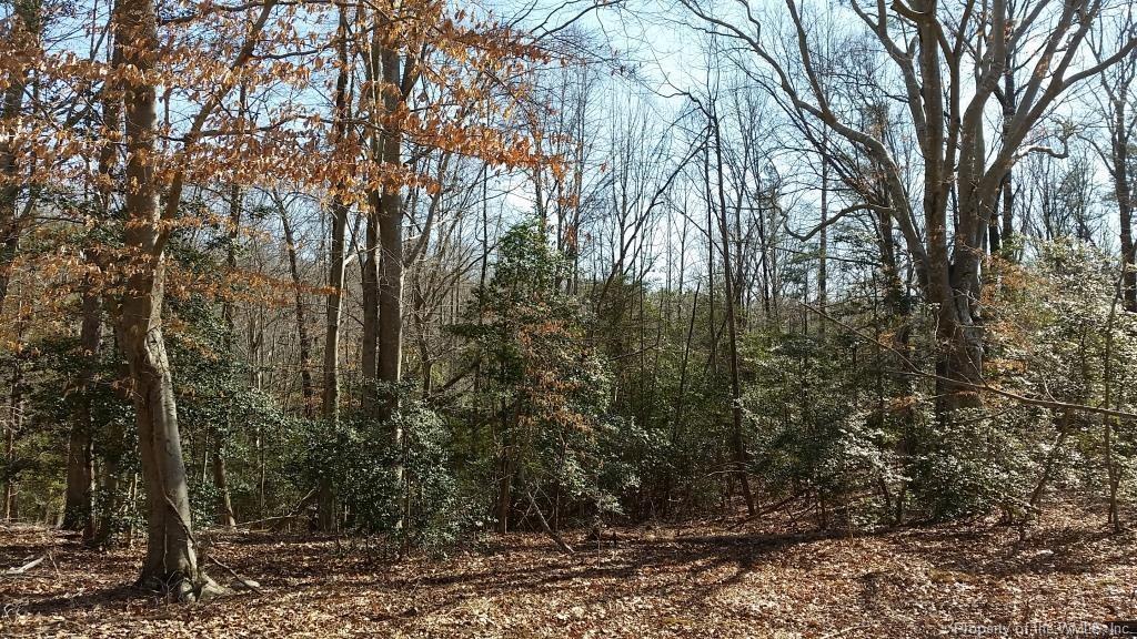 00 Snowden Park - Photo 1