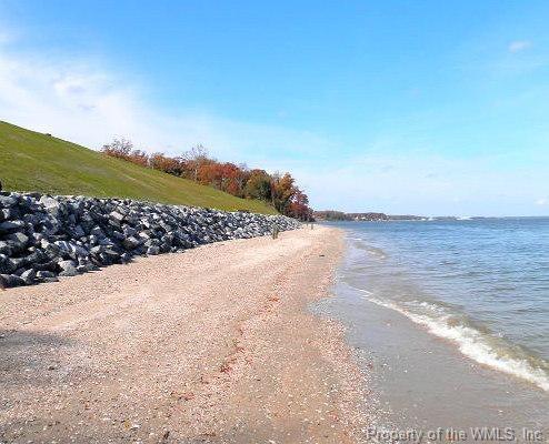 388 Cobham Bluff Lane - Photo 1