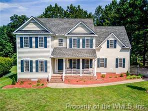 3820 Virginia Rail Drive - Photo 1