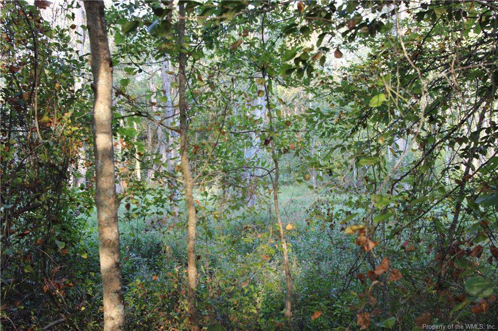 0 Harvest Drive - Photo 1