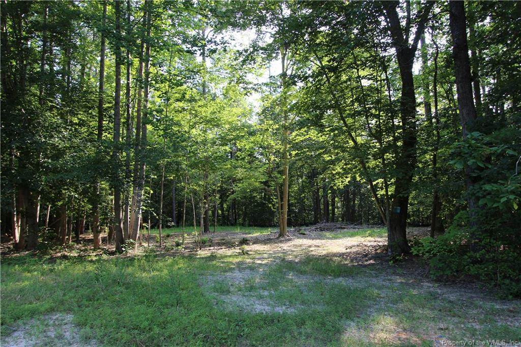 0 Deerwood Court - Photo 1