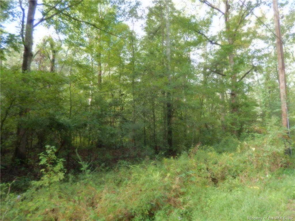 Lot 93 Red Mens Hall Road - Photo 1