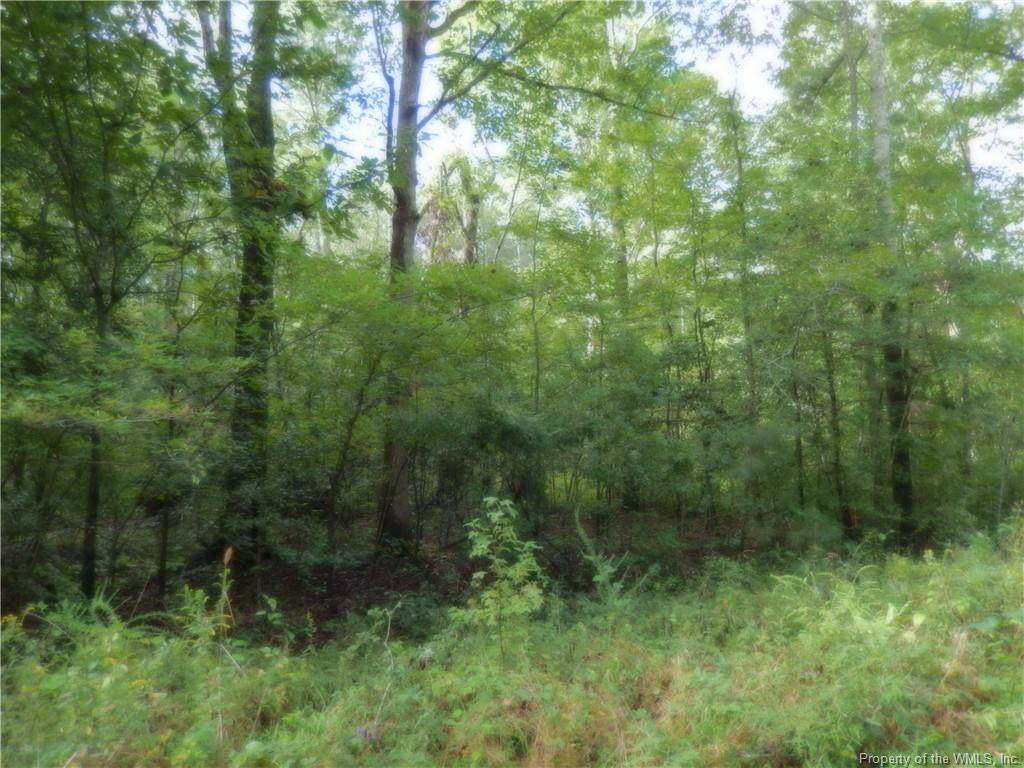 Lot 89 Red Mens Hall Road - Photo 1