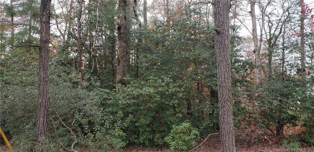 7731 Cedar Drive - Photo 1