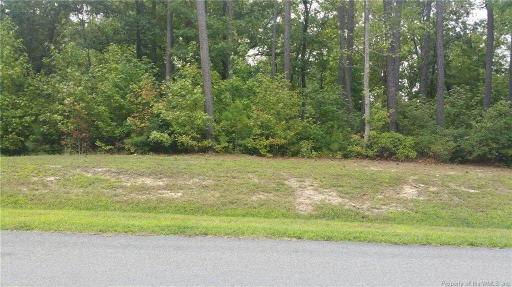 3205 Oak Branch Lane - Photo 1
