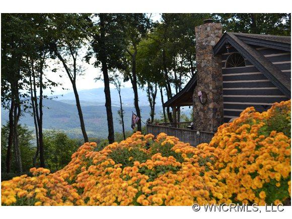 1297 Wipprecht Drive, Spruce Pine, NC 28777 (#NCM525713) :: Exit Realty Vistas