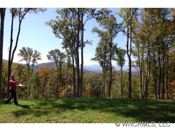 38 Beaverdam Knoll Road, Asheville, NC 28804 (#NCM527800) :: Exit Realty Vistas