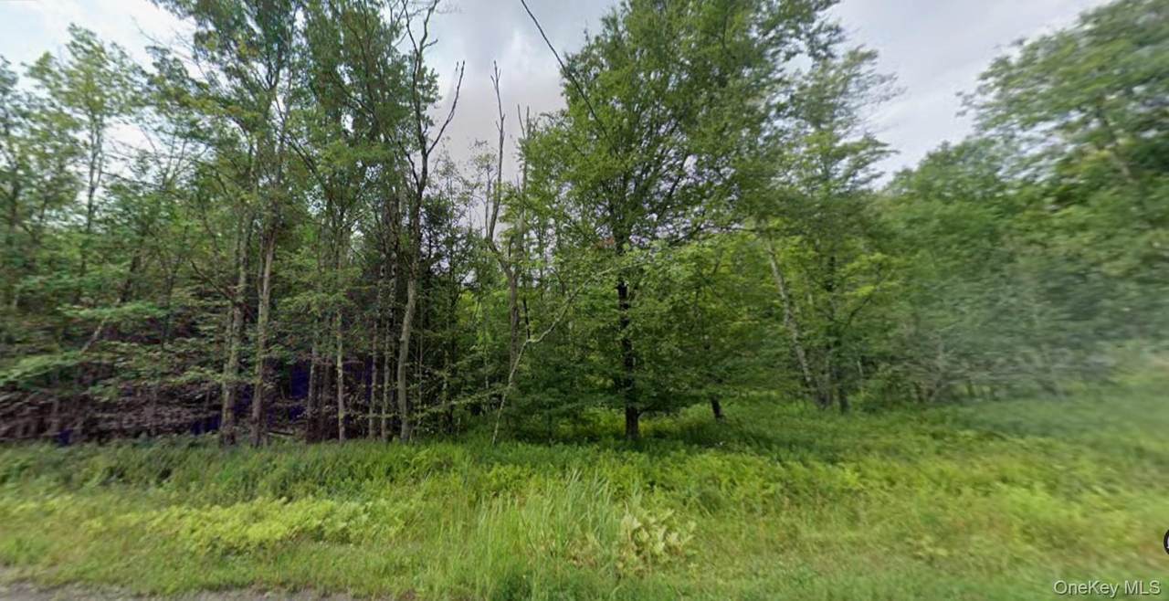 780 Tanzman Road - Photo 1