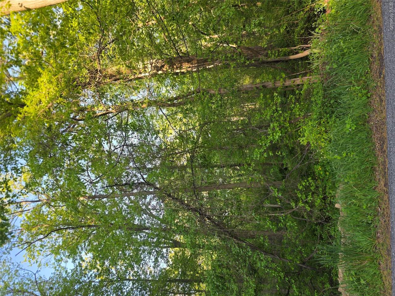 https://bt-photos.global.ssl.fastly.net/wpmls/1280_boomver_1_1000734-1.jpg