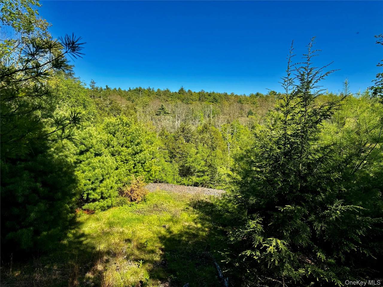 101 Stone Road - Photo 1