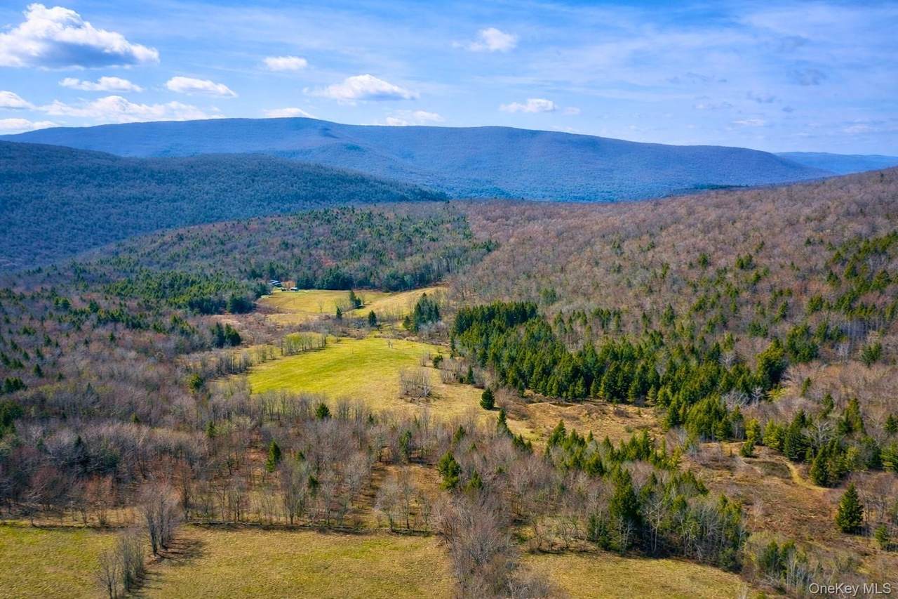  Hog Mountain - Photo 1