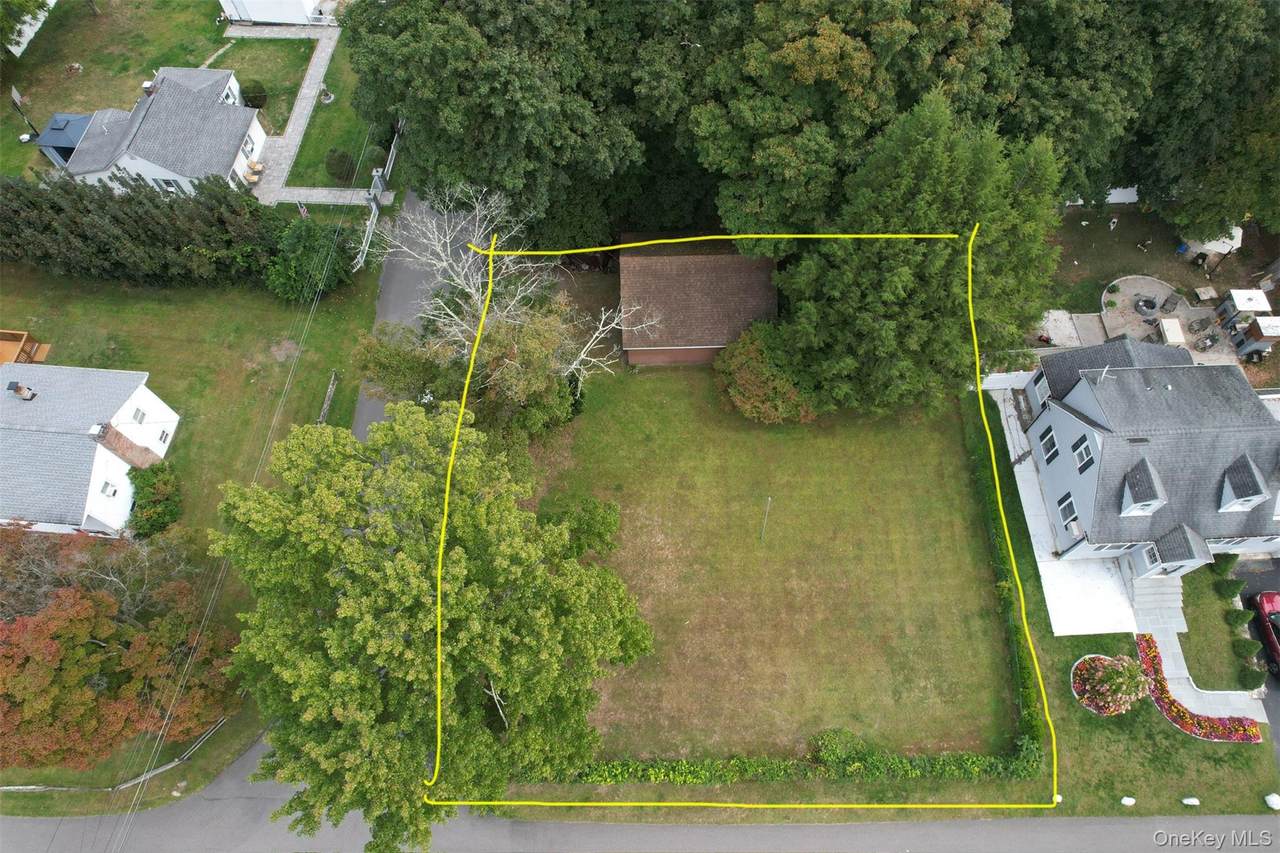 4 Lottie - Photo 1