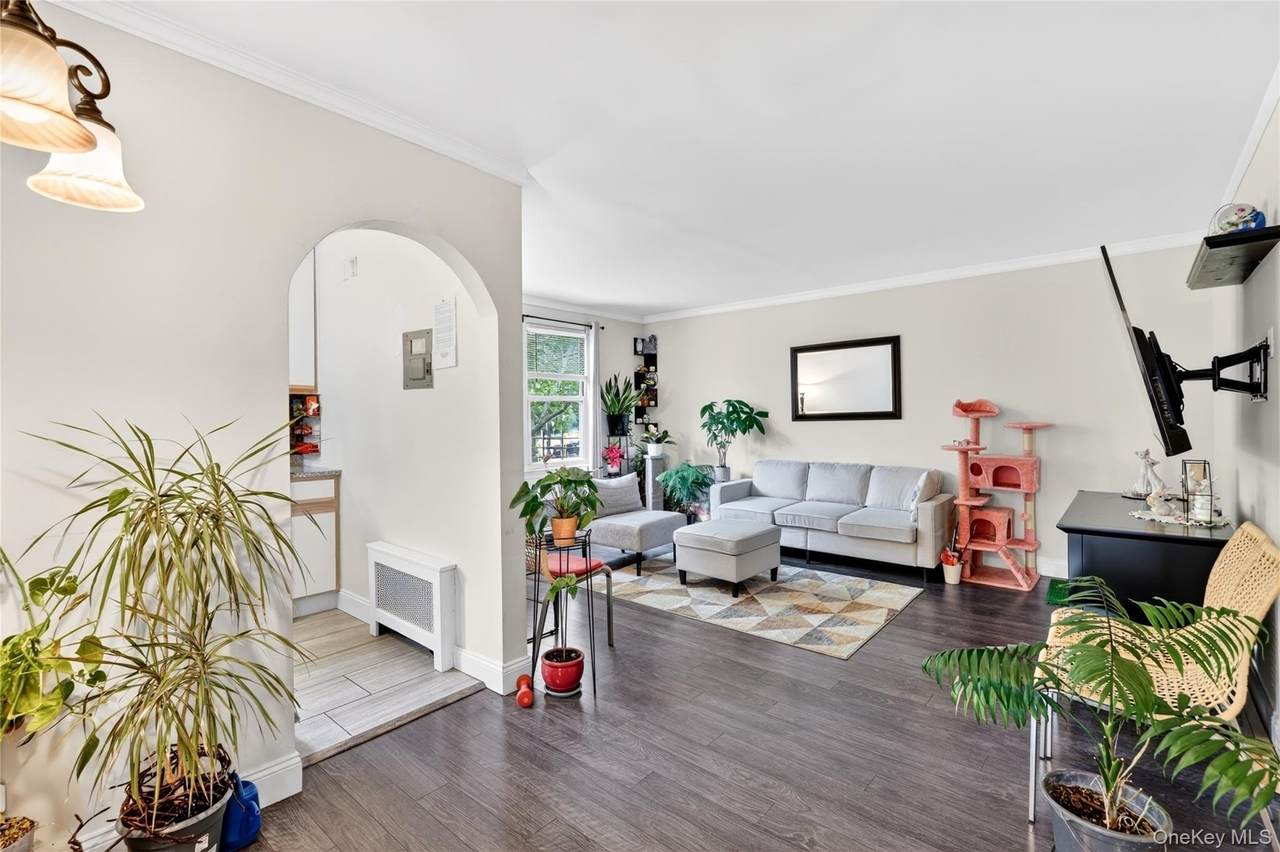 13 Winchester Avenue - Photo 1