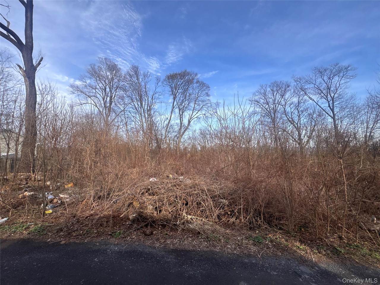 121 Robinson Avenue - Photo 1