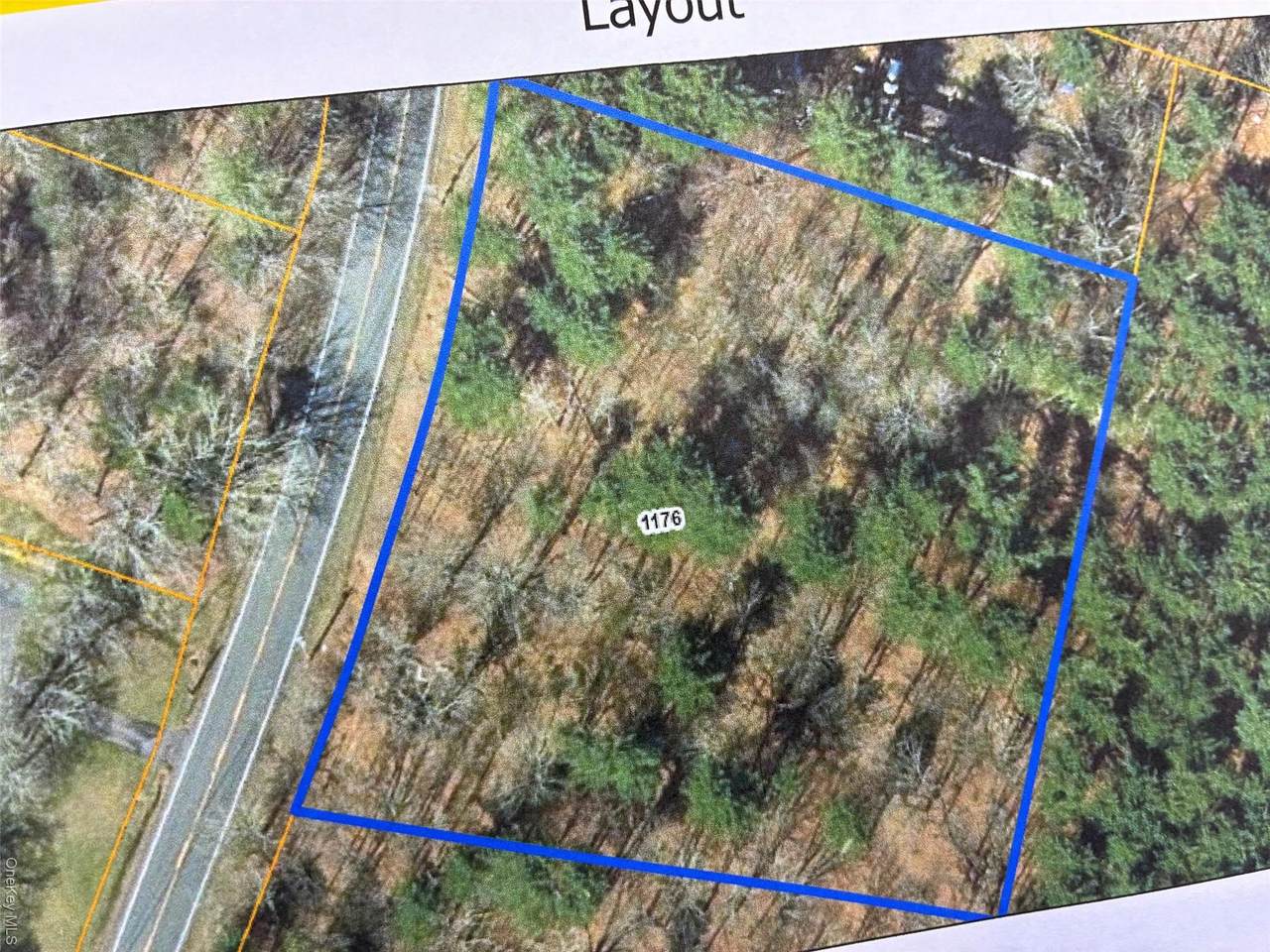 1176 Us Route 209 - Photo 1
