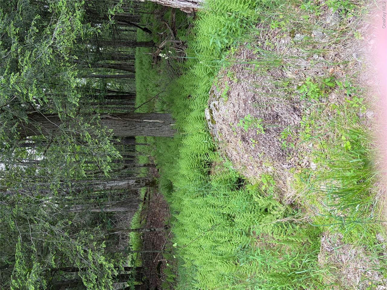 https://bt-photos.global.ssl.fastly.net/wpmls/1280_boomver_1_1012034-1.jpg