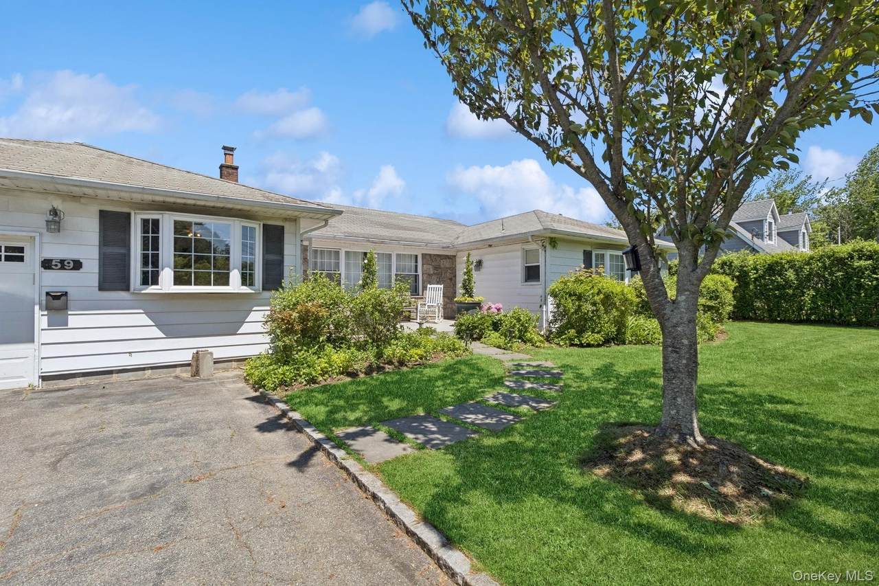 59 Wiltshire Street - Photo 1