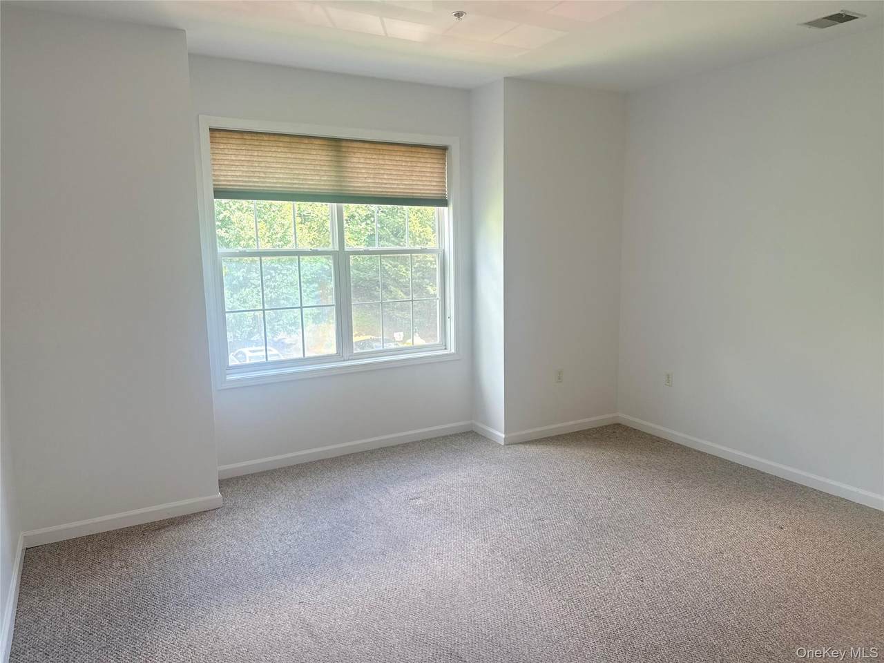 935 Tower Ridge Circle - Photo 1