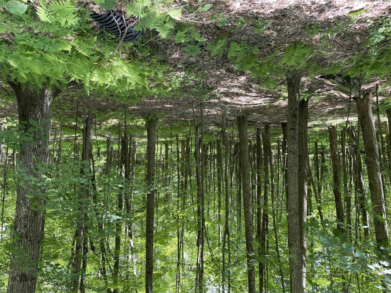  Skip Gray Road - Photo 1