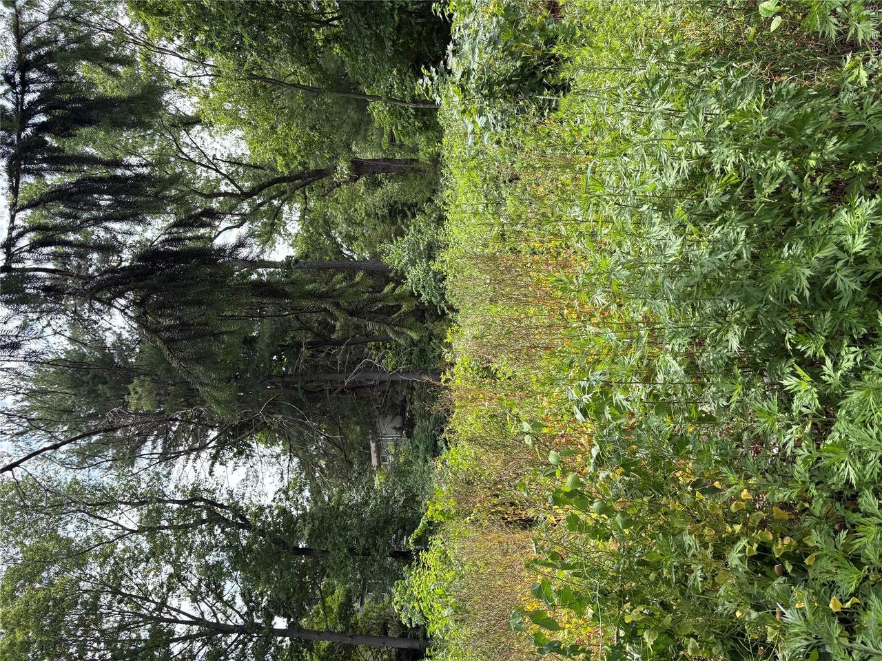 https://bt-photos.global.ssl.fastly.net/wpmls/1280_boomver_1_1016285-1.jpg