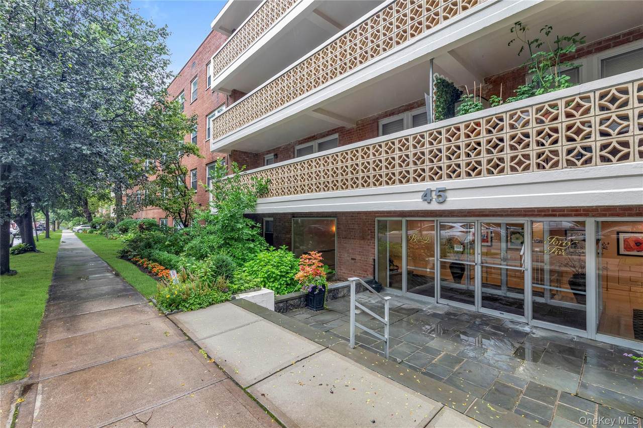 45 Hill Park Avenue - Photo 1