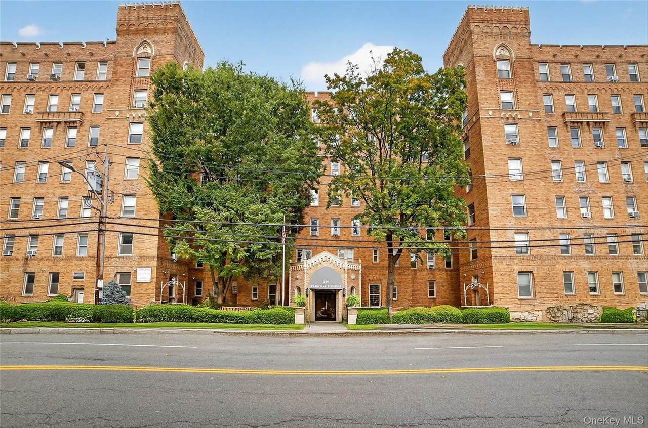 219 Bronx River Road - Photo 1